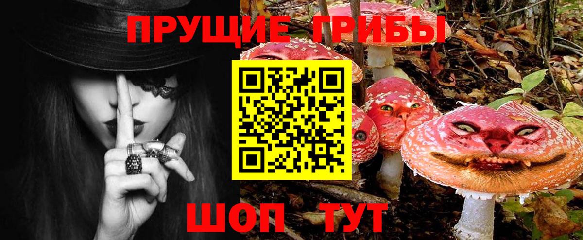 Галлюциногенные грибы Cubensis  магазин продажи наркотиков  Санкт-Петербург  Вход с VPN 