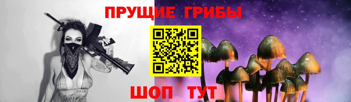 Галлюциногенные грибы прущие грибы Санкт-Петербург